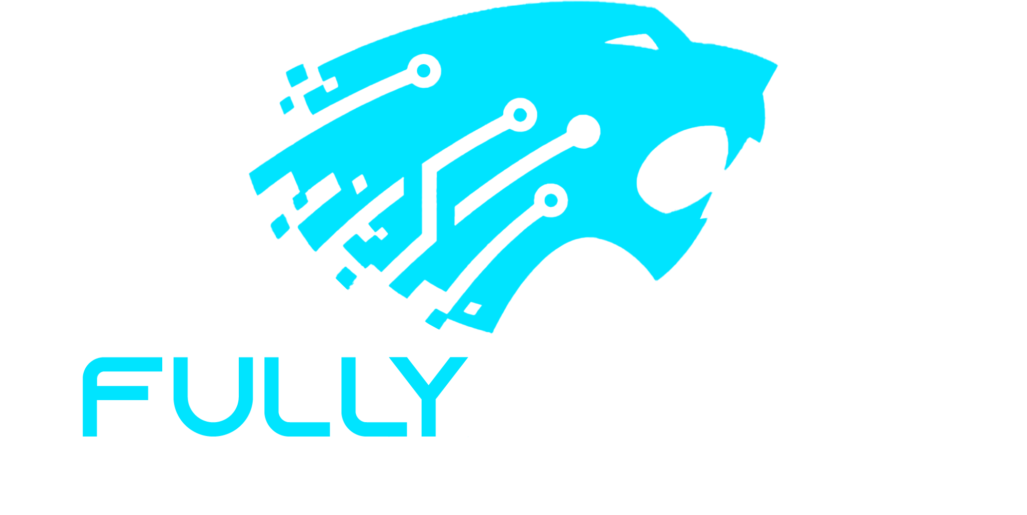 FullyKittedGaming